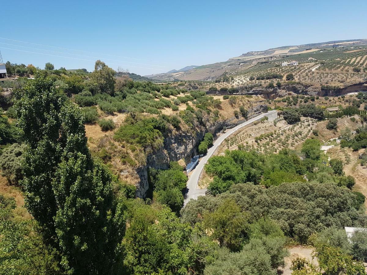 Casa Primavera Setenil De Las Bodegas Εξωτερικό φωτογραφία